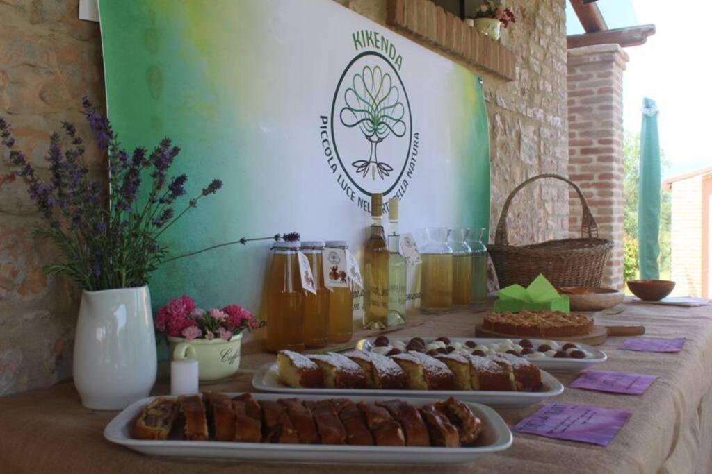 Casa Kikenda, Viaggio Nella Natura Treia Kültér fotó