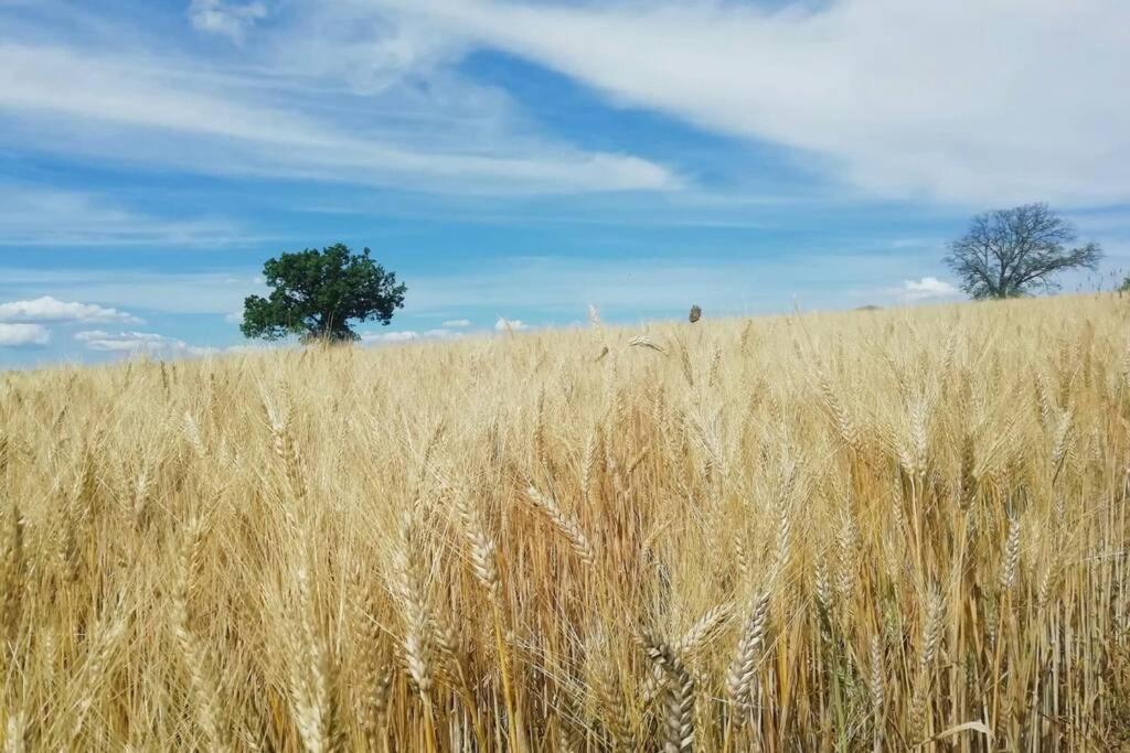 Casa Kikenda, Viaggio Nella Natura Treia Kültér fotó