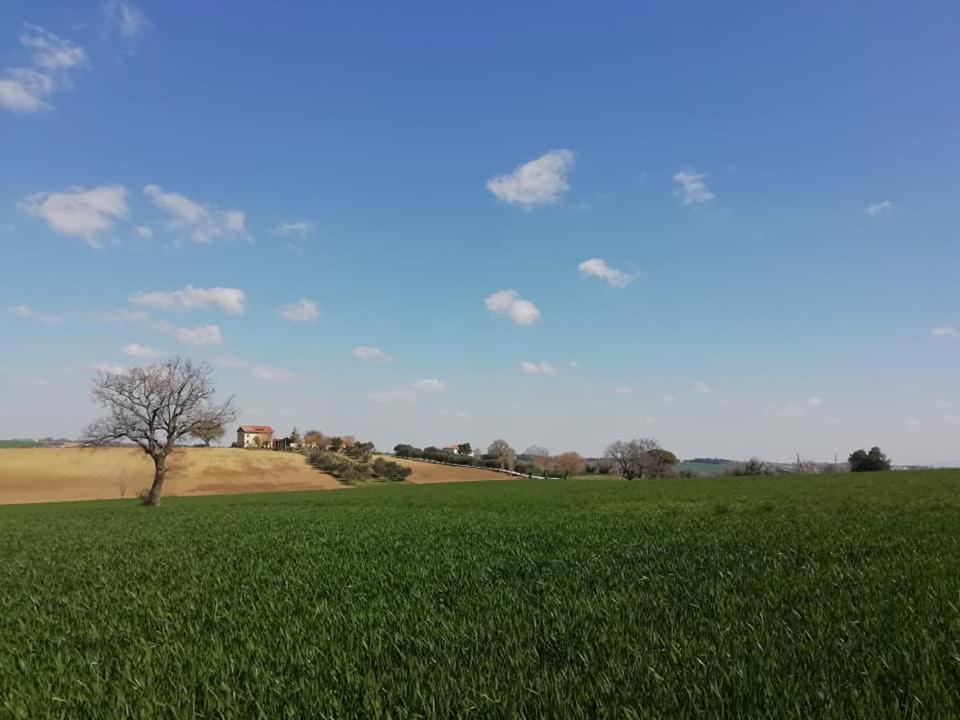Casa Kikenda, Viaggio Nella Natura Treia Kültér fotó