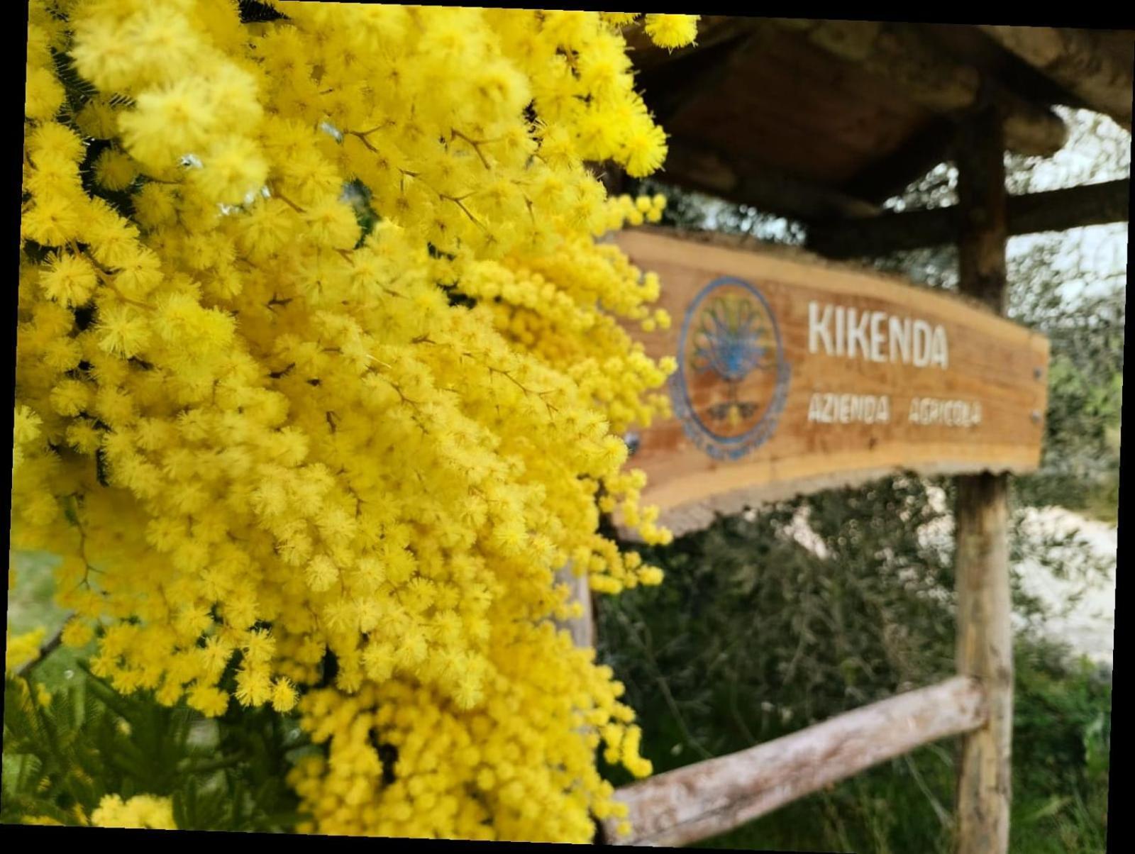 Casa Kikenda, Viaggio Nella Natura Treia Kültér fotó
